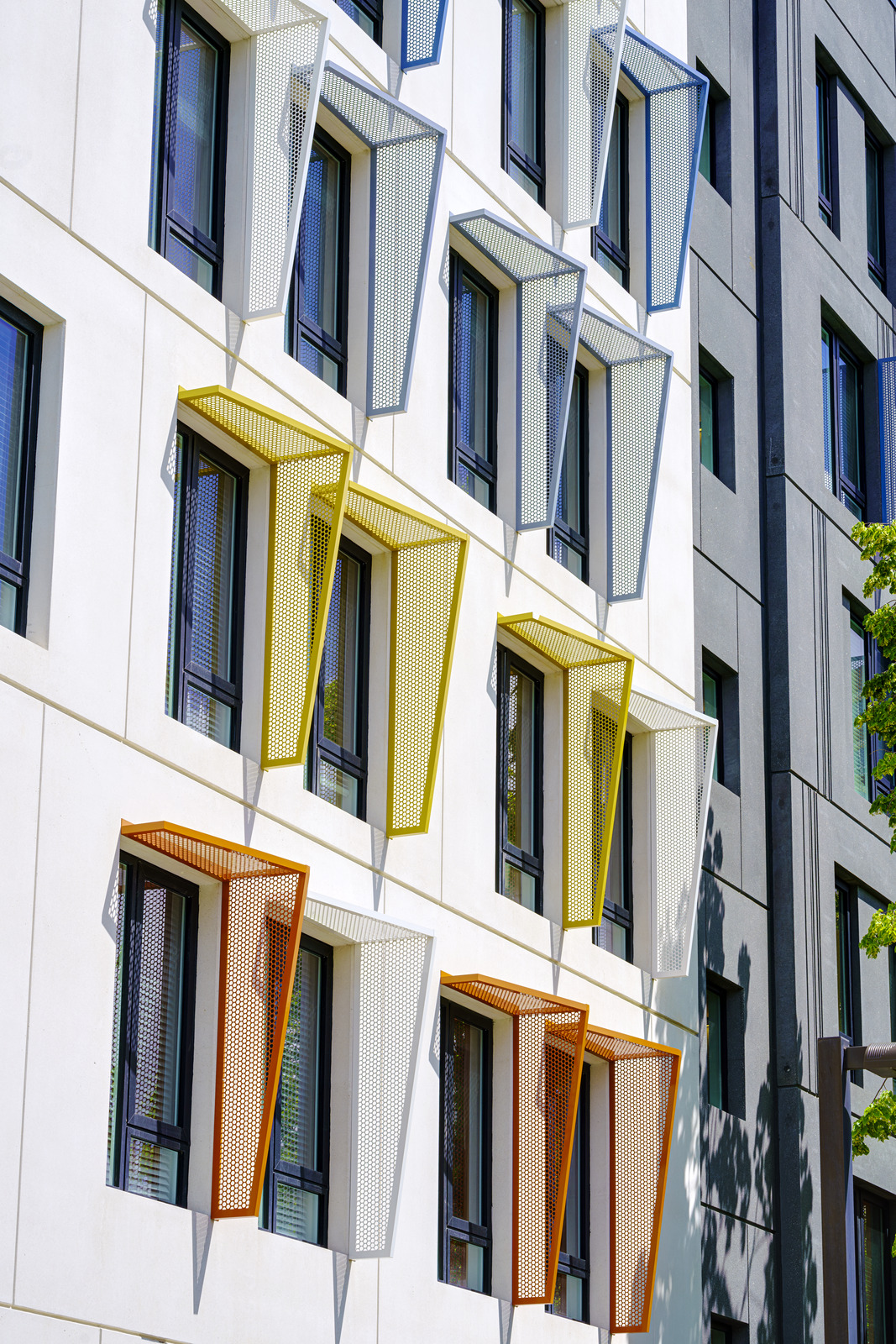 Photography ©2024 Wayne Cable.